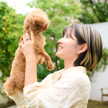 ピタカラー　アッシュゴールド（3Dハイライト）