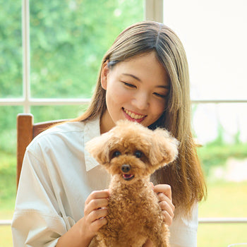 ピタカラー®　オリーブ（3Dハイライト）