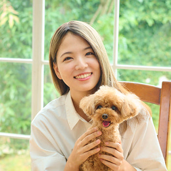 ピタカラー®　オリーブ（3Dハイライト）